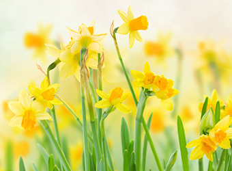 Love Your gut Wellness Tips www.loveyourgut.com